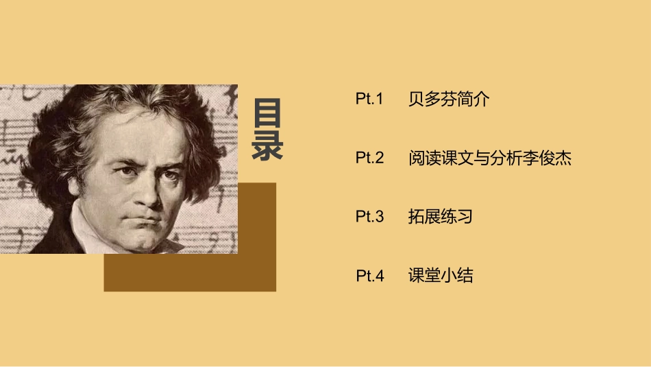 音乐巨人贝多芬_第3页