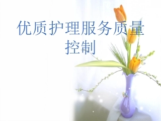 优质护理服务-课件