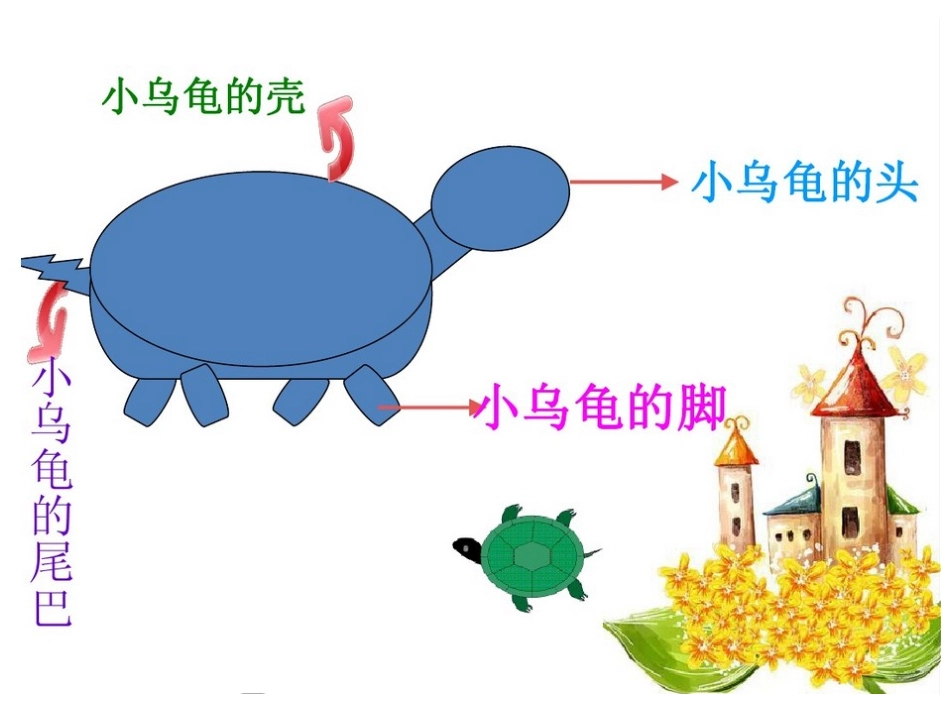 幼儿园小班科学小乌龟_第2页