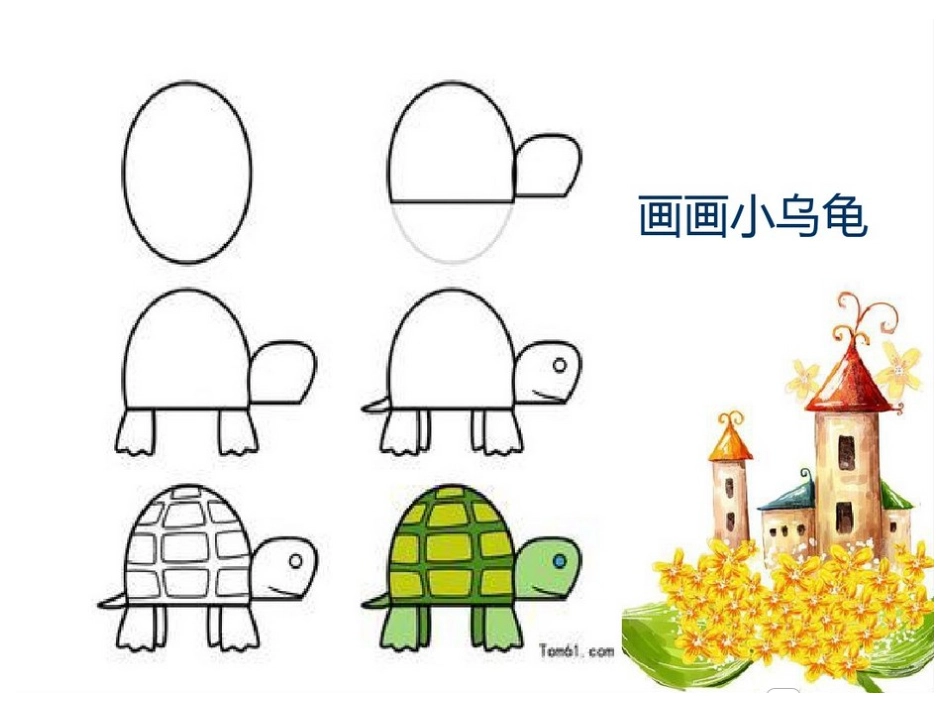 幼儿园小班科学小乌龟_第3页