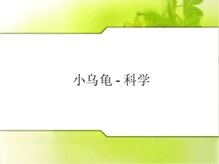 幼儿园小班科学小乌龟