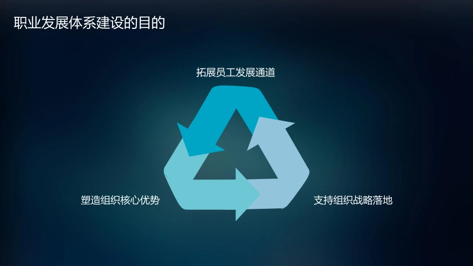 员工职业发展体系建设与实践_第2页