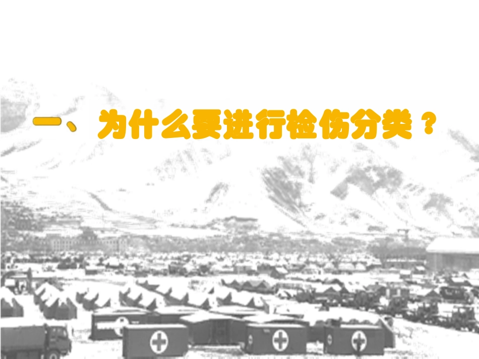 灾害现场检伤分类_第2页