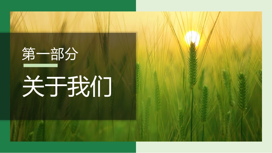 智慧农业云平台汇报材料_第3页