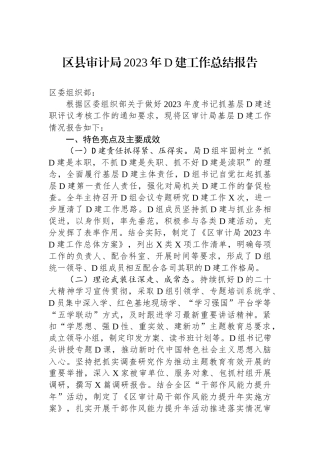 区县审计局2023年党建工作总结报告