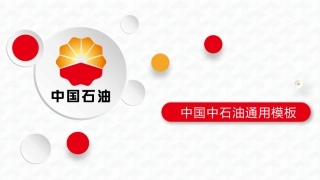 中国中石油总结汇报述职报告