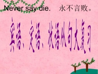 中考英语从句专题复习