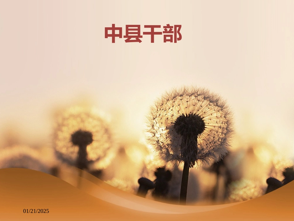 中县干部第一章-PPT课件_第1页
