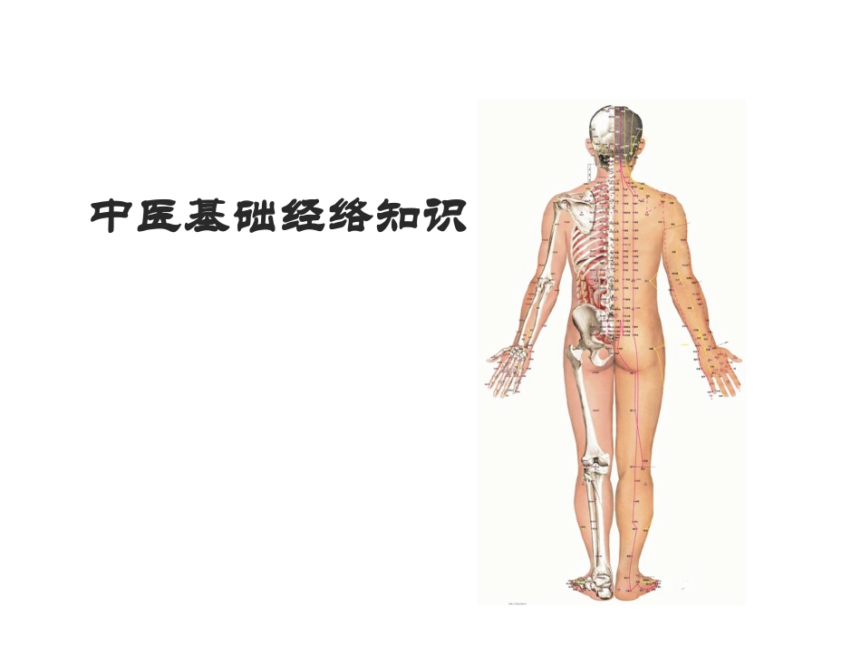 中医基础经络知识_第1页