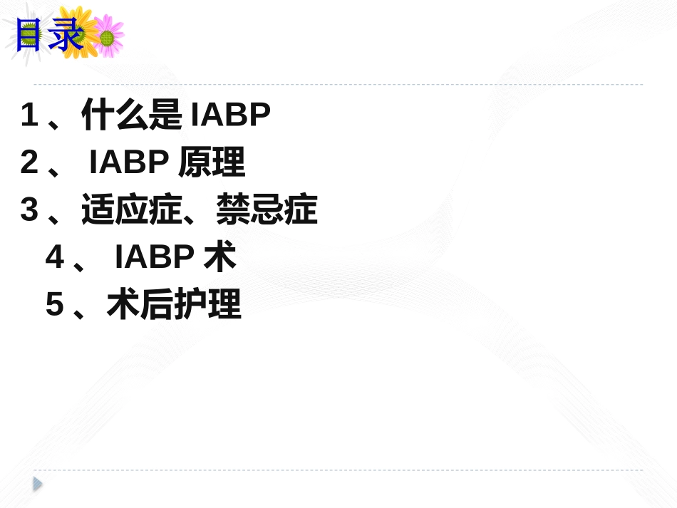 主动脉内球囊反搏(IABP)_第2页