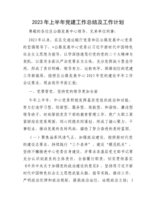 2023年上半年党建工作总结及工作计划
