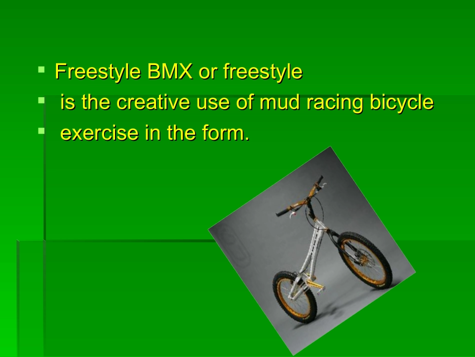 自由式小轮车_第2页