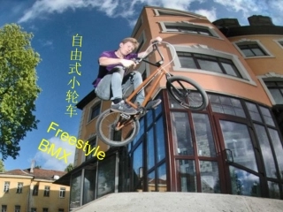 自由式小轮车