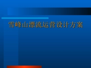 最专业的漂流运营方案