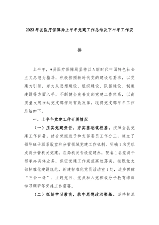 2023年县医疗保障局上半年党建工作总结及下半年工作安排