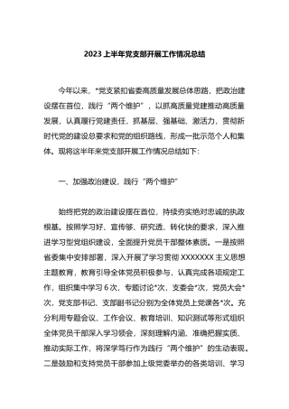2023上半年党支部开展工作情况总结上半年党建工作总结
