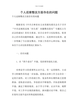 个人巡察整改方面存在的问题