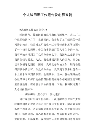 个人试用期工作报告及心得五篇