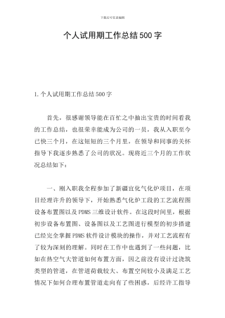 个人试用期工作总结500字