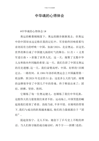 中华魂的心得体会