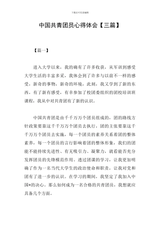 中国共青团员心得体会