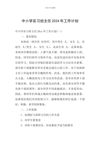 中小学实习班主任2024年工作计划