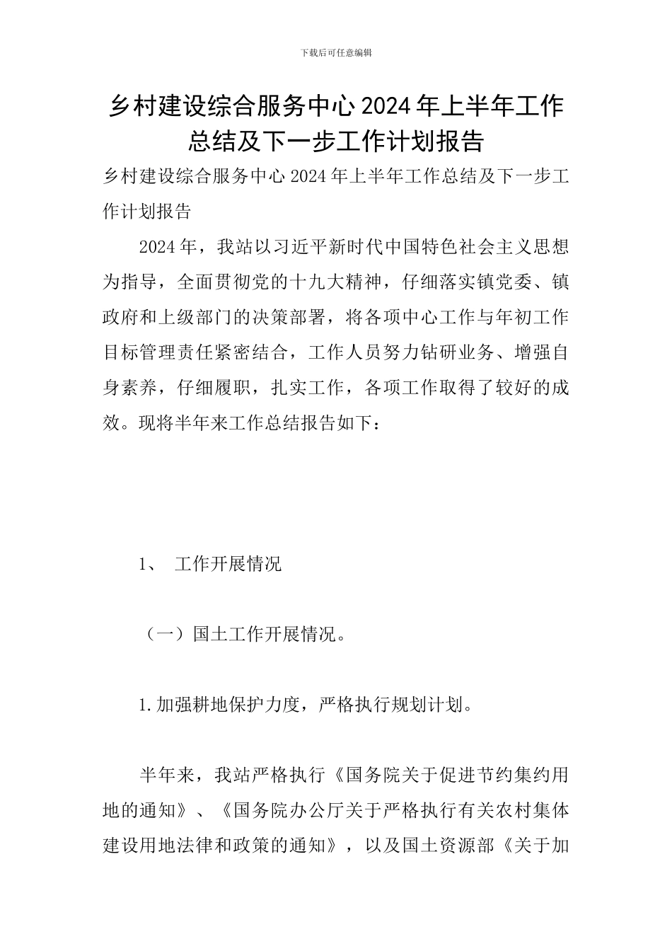 乡村建设综合服务中心2024年上半年工作总结及下一步工作计划报告_第1页