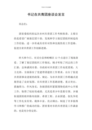 书记在共青团座谈会发言
