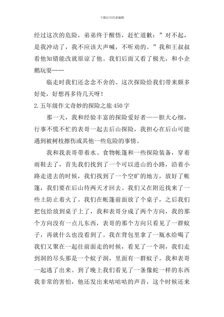 五年级作文神奇的探险之旅450字_第2页