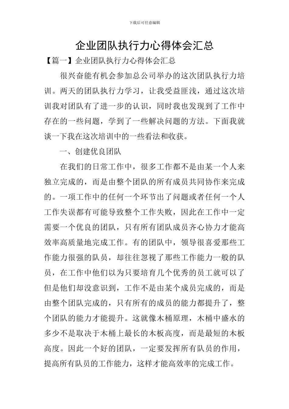 企业团队执行力心得体会汇总_第1页