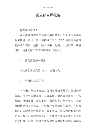 党支部自评报告