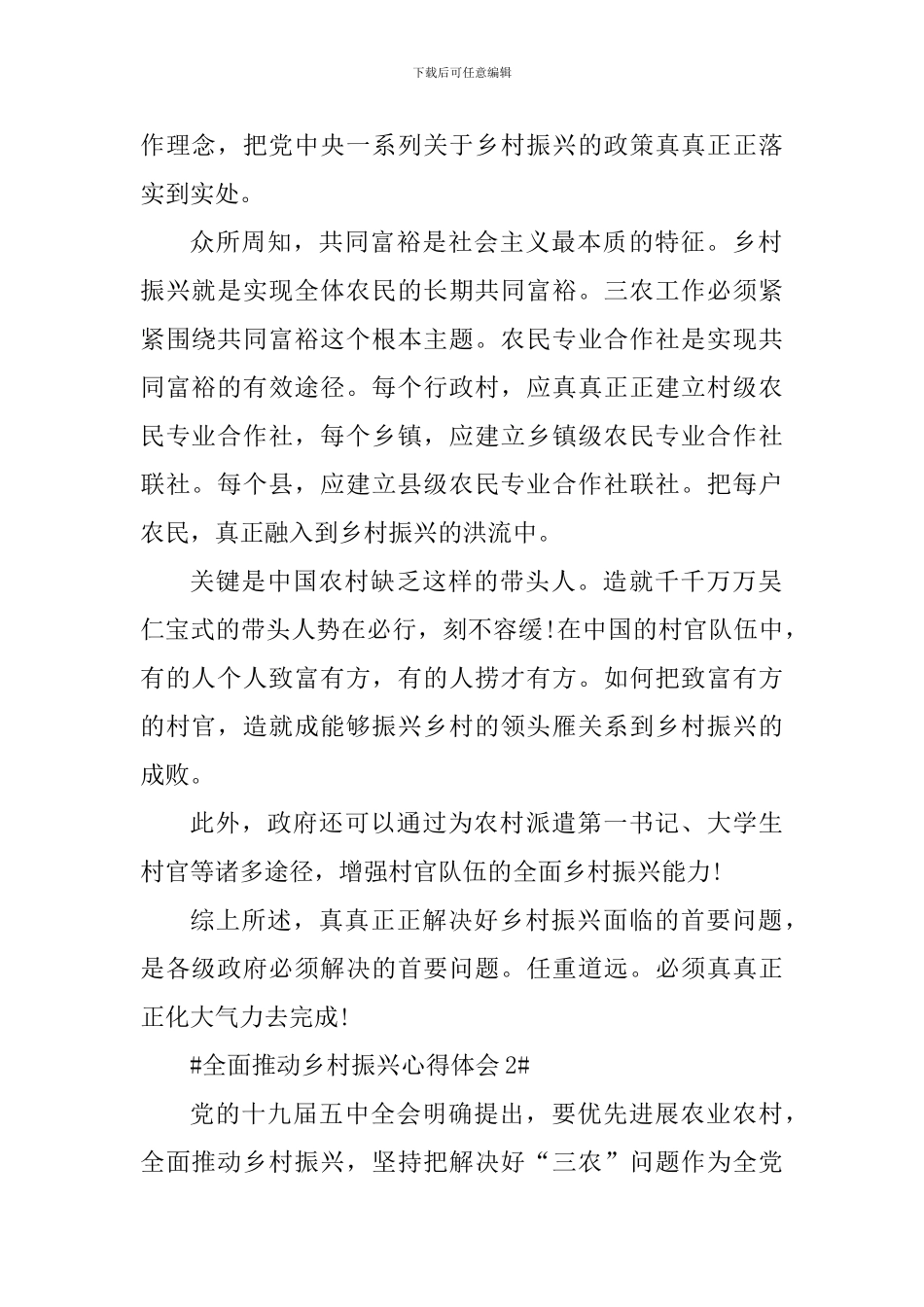 全面实施乡村振兴心得体会2024_第2页