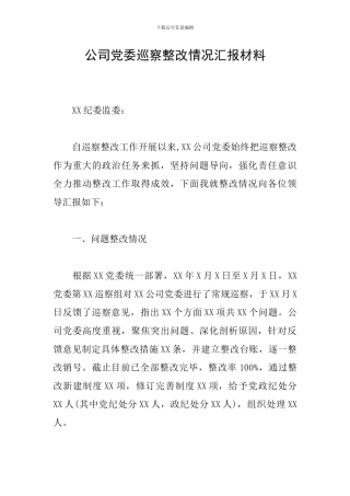 公司党委巡察整改情况汇报材料