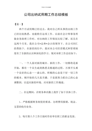 公司出纳试用期工作总结模板