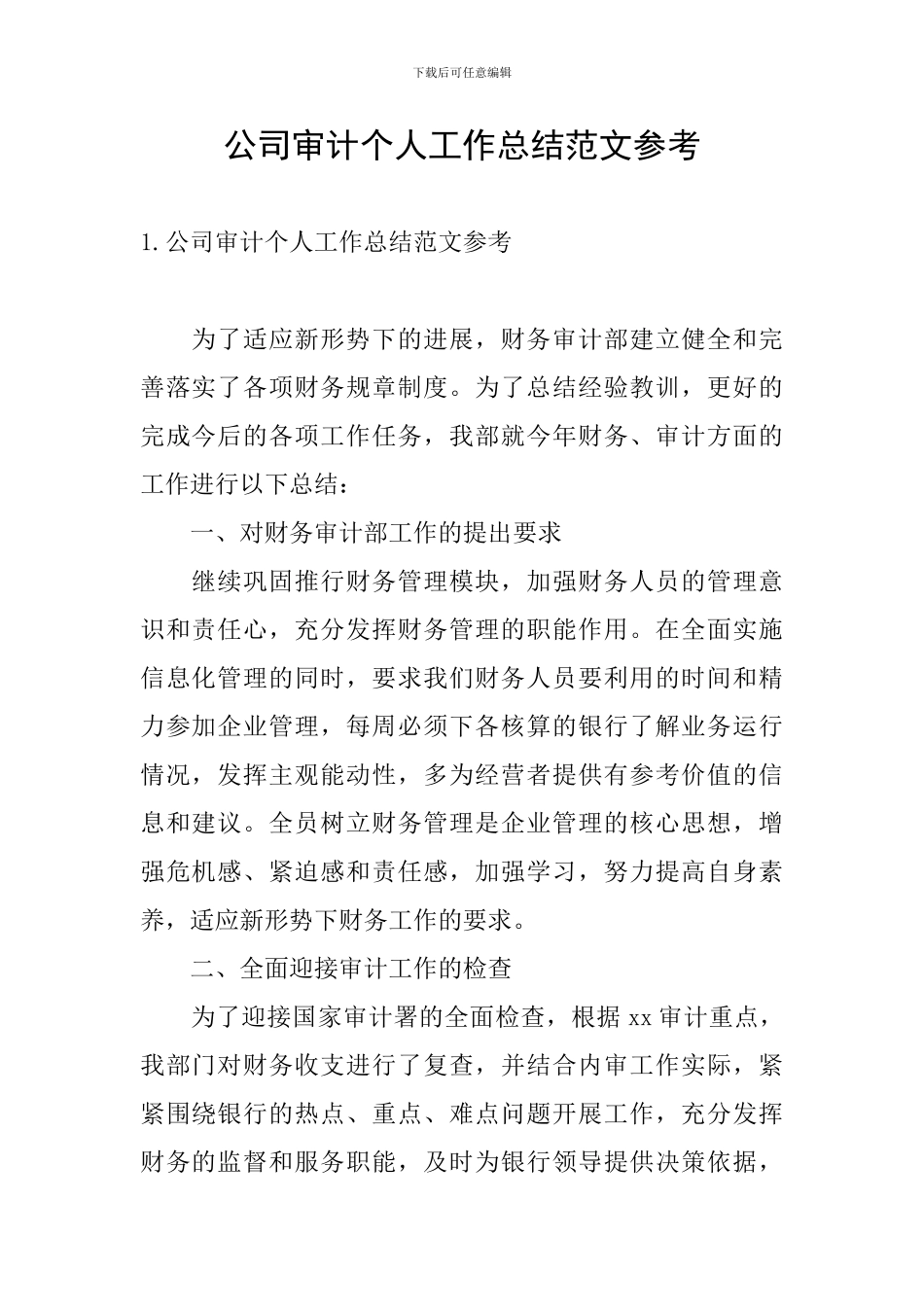 公司审计个人工作总结范文参考_第1页