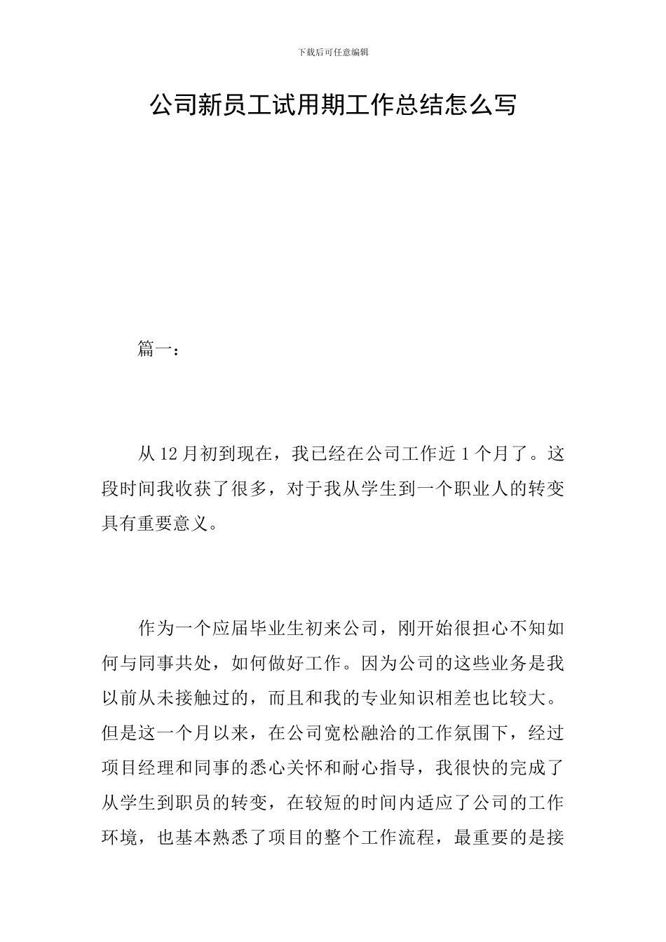 公司新员工试用期工作总结怎么写_第1页