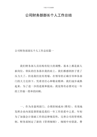 公司财务部部长个人工作总结