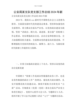 公安局某支队党支部工作总结2024年新