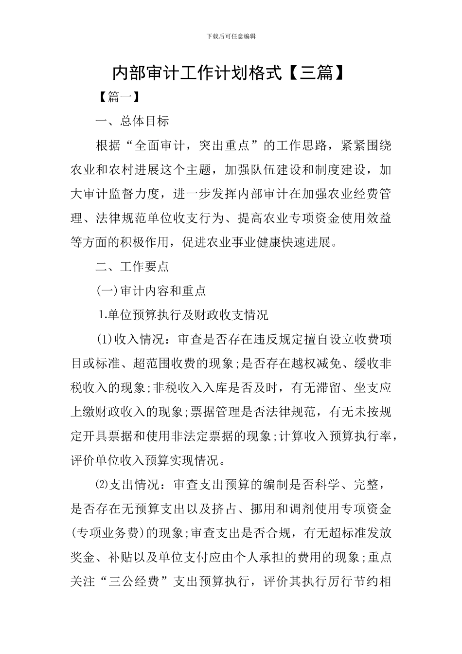 内部审计工作计划格式_第1页