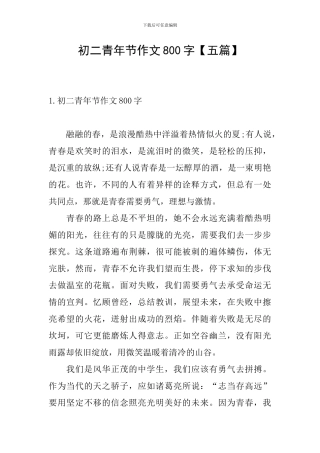 初二青年节作文800字