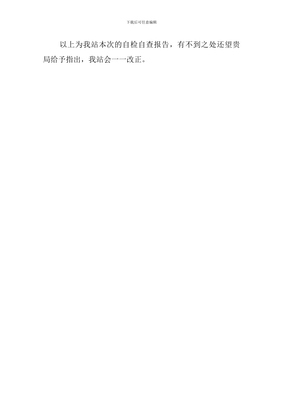 加油站设备的自查报告_第3页