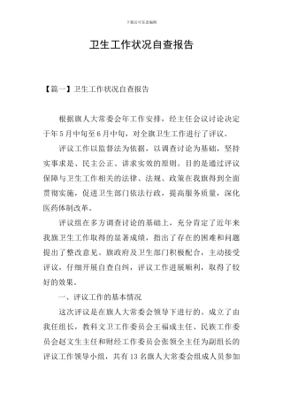 卫生工作状况自查报告