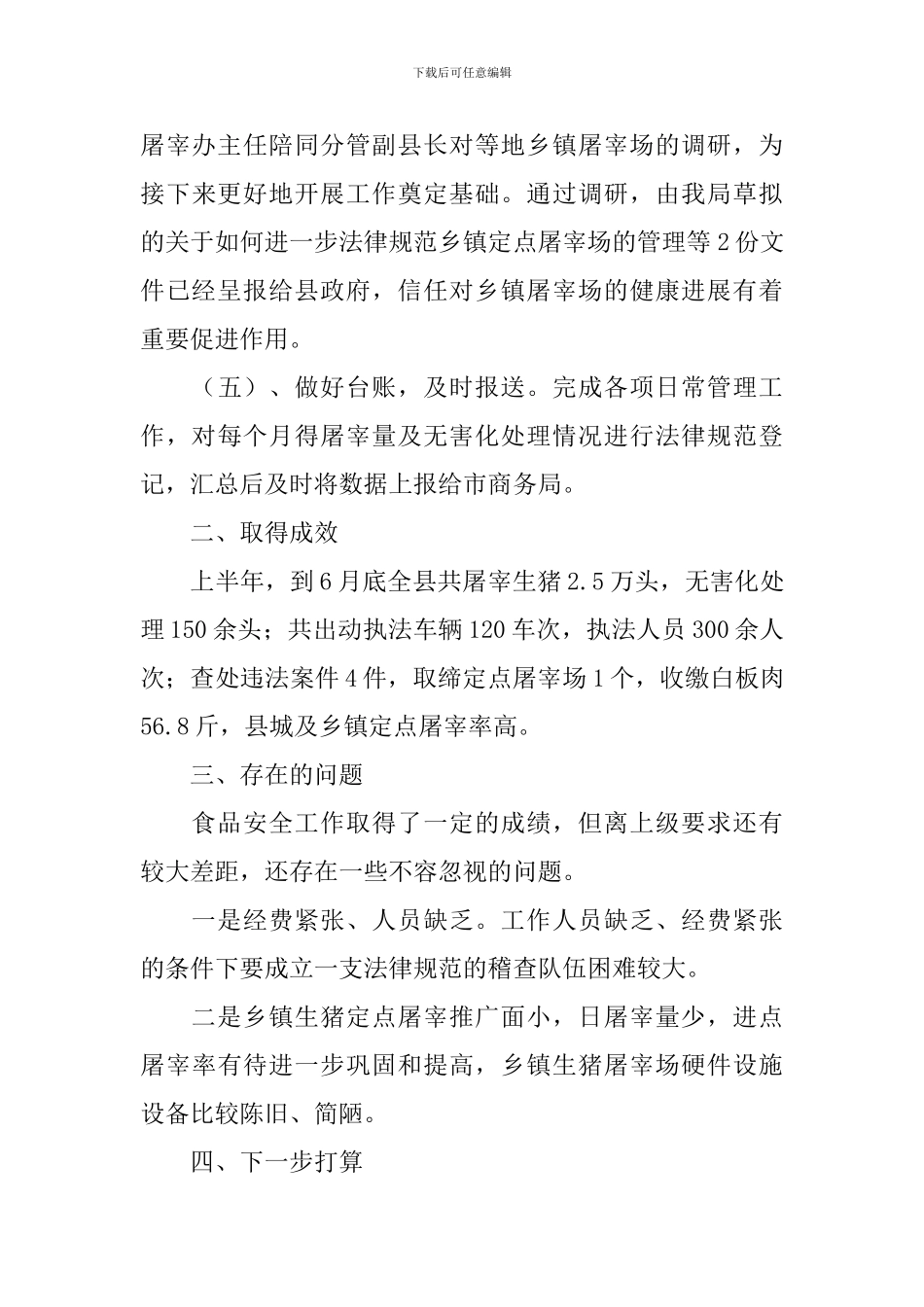 商务工作自查报告2024_第3页