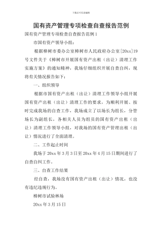国有资产管理专项检查自查报告范例