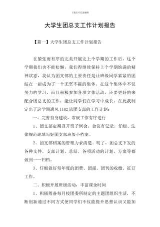 大学生团总支工作计划报告