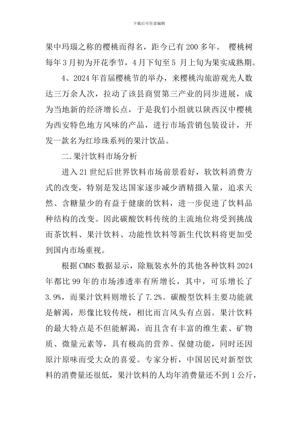 大学生市场营销策划书_第2页