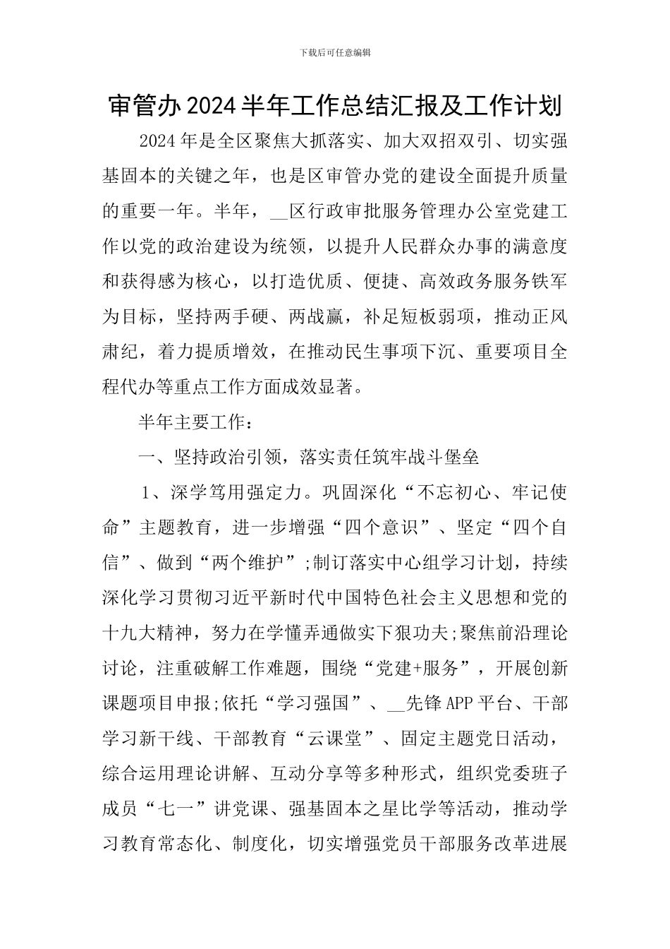 审管办2024半年工作总结汇报及工作计划_第1页