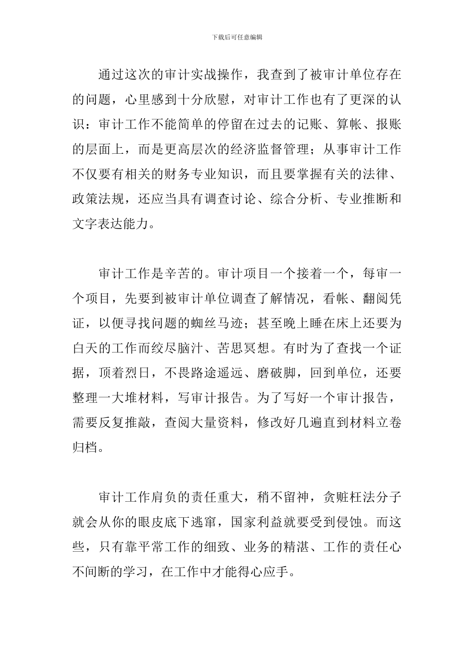 审计人员工作心得体会精选模板_第2页