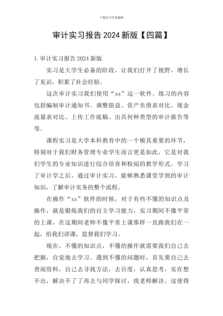 审计实习报告2024新版_第1页