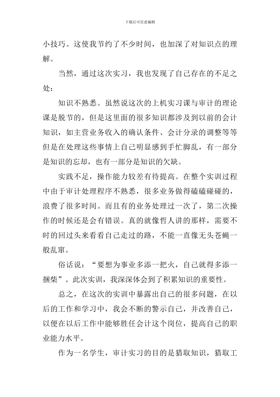 审计实习报告2024新版_第3页